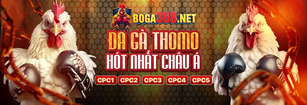 Hình ảnh đa dạng các môn thể thao tại acb888 chính thức